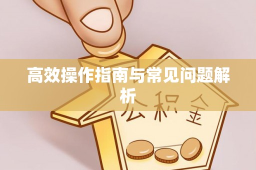 盐田高效操作指南与常见问题解析