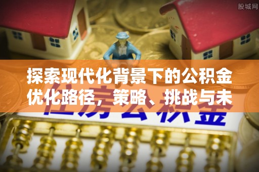 盐田探索现代化背景下的公积金优化路径，策略、挑战与未来展望
