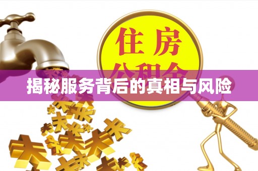盐田揭秘服务背后的真相与风险