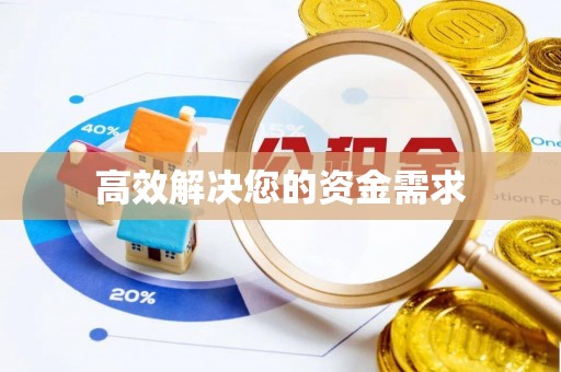 盐田高效解决您的资金需求