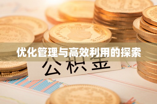 盐田优化管理与高效利用的探索